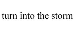 TURN INTO THE STORM trademark