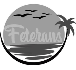 FETERANS trademark
