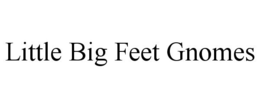 LITTLE BIG FEET GNOMES trademark