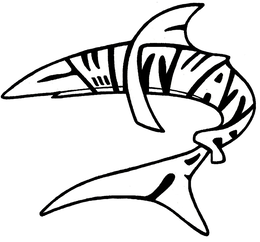 SWIFTWATER trademark