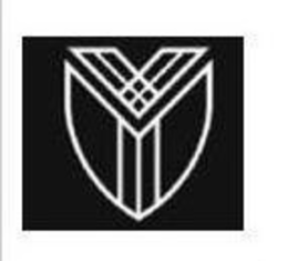 V trademark