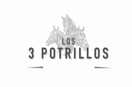 LOS 3 POTRILLOS trademark