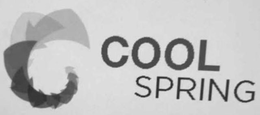 COOL SPRING trademark