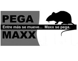 PEGA MAXX ENTRE MAS SE MUEVE...MAXX SE PEGA. trademark