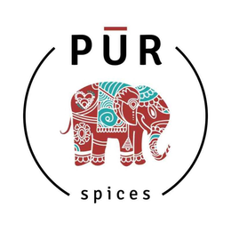 PUR  SPICES trademark