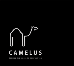 CAMELUS CROSSED THE WORLD TO COMFORT YOU trademark