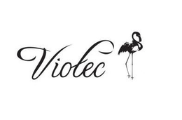 VIOTEC trademark