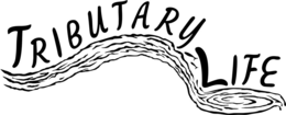 TRIBUTARY LIFE trademark