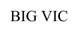 BIG VIC trademark