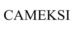 CAMEKSI trademark
