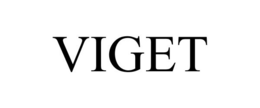 VIGET trademark