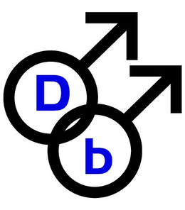 DB trademark