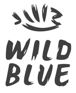 WB WILD BLUE trademark