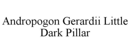 ANDROPOGON GERARDII LITTLE DARK PILLAR trademark