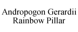 ANDROPOGON GERARDII RAINBOW PILLAR trademark