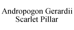 ANDROPOGON GERARDII SCARLET PILLAR trademark