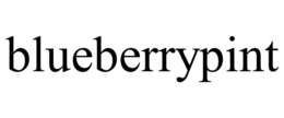 BLUEBERRYPINT trademark