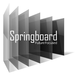 SPRINGBOARD FUTURE FOCUSED trademark