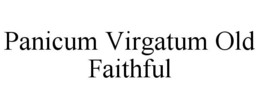 PANICUM VIRGATUM OLD FAITHFUL trademark