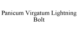 PANICUM VIRGATUM LIGHTNING BOLT trademark
