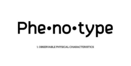 PHE·NO·TYPE 1. OBSERVABLE PHYSICAL CHARACTERISTICS trademark