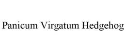 PANICUM VIRGATUM HEDGEHOG trademark