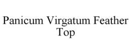 PANICUM VIRGATUM FEATHER TOP trademark