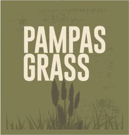 PAMPAS GRASS trademark