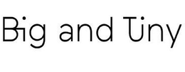 BIG AND TINY trademark