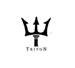 TRITON trademark