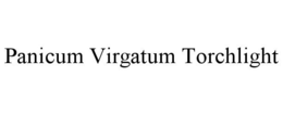 PANICUM VIRGATUM TORCHLIGHT trademark