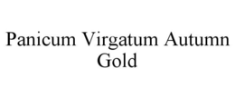 PANICUM VIRGATUM AUTUMN GOLD trademark