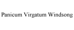 PANICUM VIRGATUM WINDSONG trademark