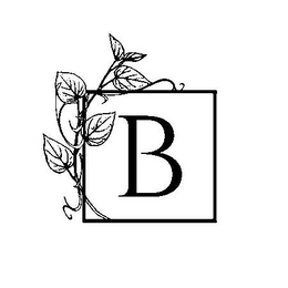 B trademark