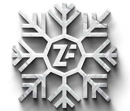 ZF trademark