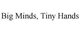 BIG MINDS, TINY HANDS trademark