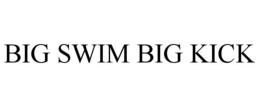 BIG SWIM BIG KICK trademark
