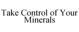 TAKE CONTROL OF YOUR MINERALS trademark