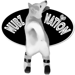 NUBZ NATION trademark