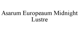 ASARUM EUROPEAUM MIDNIGHT LUSTRE trademark
