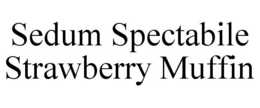 SEDUM SPECTABILE STRAWBERRY MUFFIN trademark