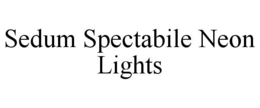 SEDUM SPECTABILE NEON LIGHTS trademark