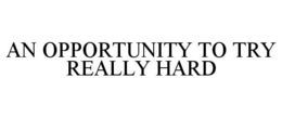 AN OPPORTUNITY TO TRY REALLY HARD trademark