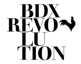 BDX REVOLUTION trademark