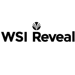 WSI REVEAL trademark