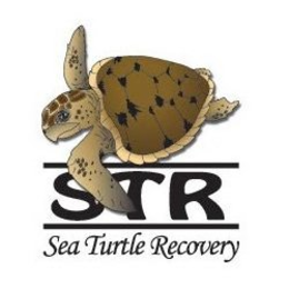 STR SEA TURTLE RECOVERY trademark