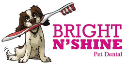 BRIGHT N'SHINE PET DENTAL trademark