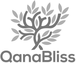QANABLISS trademark