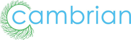 CAMBRIAN trademark