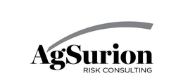 AGSURION RISK CONSULTING trademark